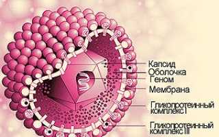 Что такое цитомегаловирус и чем его лечить