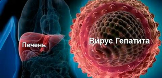 Как и чем вылечить Гепатит Ц народными методами