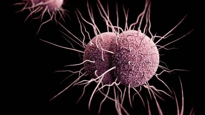 Симптомы и лечение гонореи у мужчин