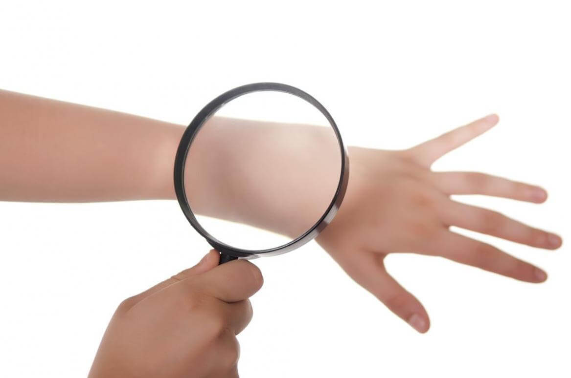 Функциональное назначение кожи у человека