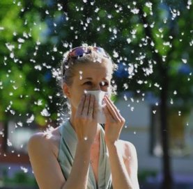 Аллергия Аллергия