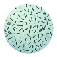 Ботулизм Ботулизм