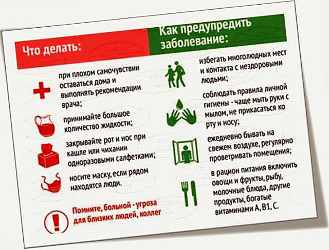 Что делать и как предупредить простуду Что делать и как предупредить простуду