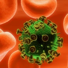 Инфекция Инфекция