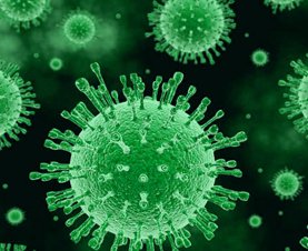 Инфекция Инфекция