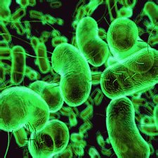 Инфекция Нозокомиальные инфекции