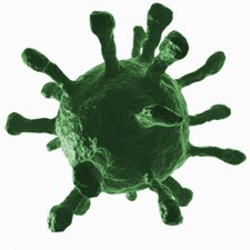 Инфекция Инфекция