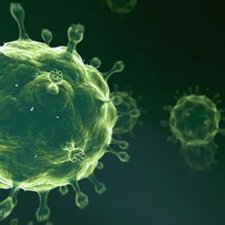 Инфекция Инфекция