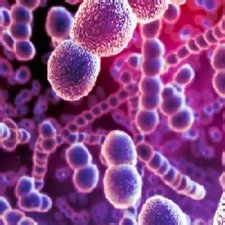 Инфекция Инфекция