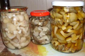 Консервированные грибы Консервированные грибы