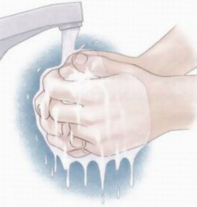 Гигиена рук Гигиена рук