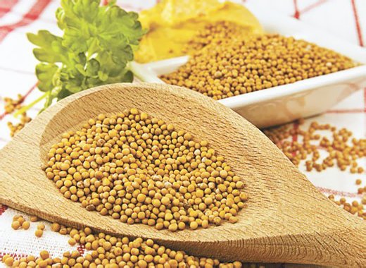 Горчица Горчица