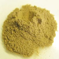 Горчичный порошок Горчичный порошок