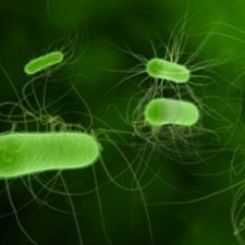 Инфекция Инфекция