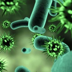 Инфекция Инфекция