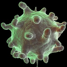 Инфекция Инфекция