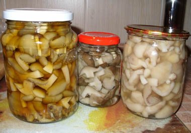 Консервированные грибы Консервированные грибы
